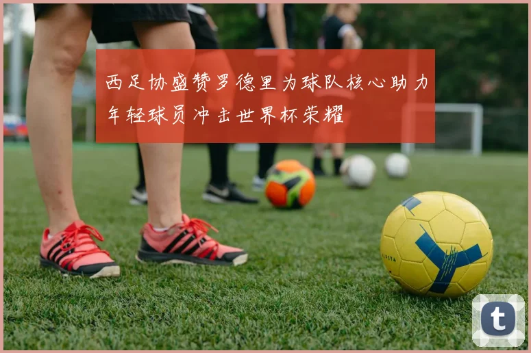西足协盛赞罗德里为球队核心助力年轻球员冲击世界杯荣耀