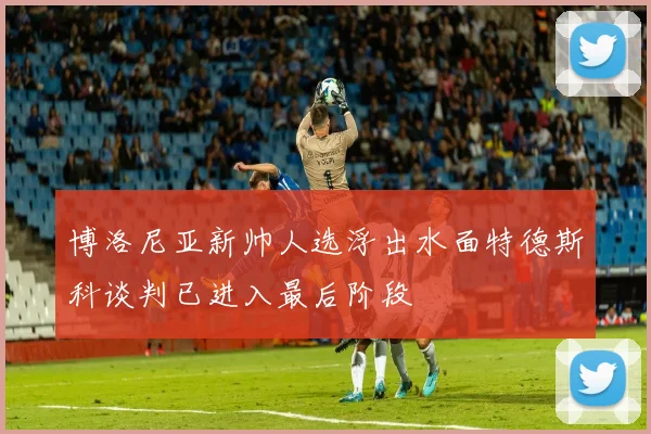 博洛尼亚新帅人选浮出水面特德斯科谈判已进入最后阶段