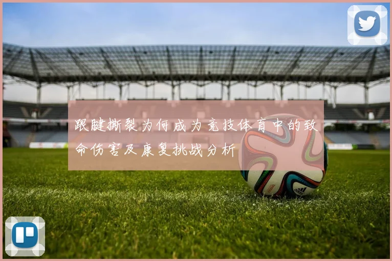 跟腱撕裂为何成为竞技体育中的致命伤害及康复挑战分析